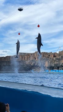 名古屋港水族館に投稿された画像（2023/8/11）