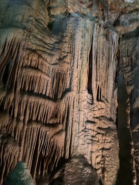 あぶくま洞に投稿された画像（2023/8/11）