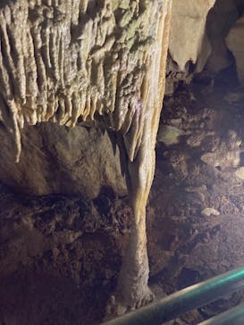 あぶくま洞に投稿された画像（2023/8/11）