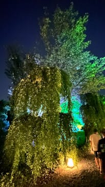 NAKED meets 二条城 2025 観月に投稿された画像（2023/8/11）