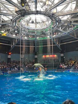 マクセル アクアパーク品川に投稿された画像（2023/8/11）