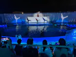 仙台うみの杜水族館に投稿された画像（2023/8/11）