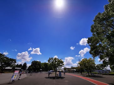 川越水上公園（埼玉県公園緑地協会）に投稿された画像（2023/8/11）