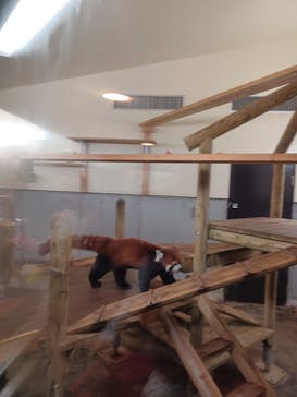 到津の森公園に投稿された画像（2023/8/11）