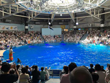 マクセル アクアパーク品川に投稿された画像（2023/8/11）