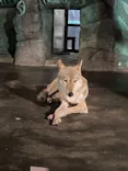 天王寺動物園に投稿された画像（2023/8/11）