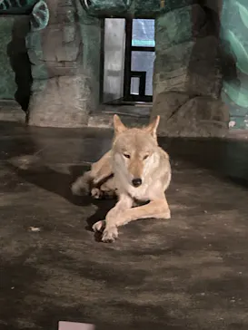 天王寺動物園に投稿された画像（2023/8/11）