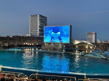 名古屋港水族館に投稿された画像（2023/8/11）