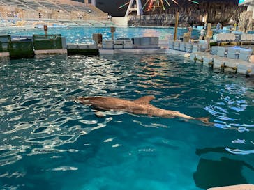 名古屋港水族館に投稿された画像（2023/8/11）