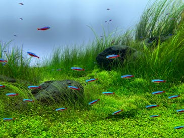 AOAO SAPPOROに投稿された画像（2023/8/11）