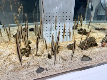 AOAO SAPPOROに投稿された画像（2023/8/11）