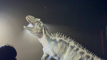 DINO SAFARI GIGANTに投稿された画像（2023/8/11）