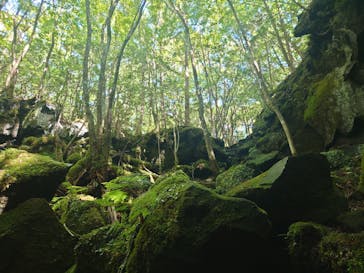 TOCORO.TOURS（トコロツアーズ）に投稿された画像（2023/8/11）