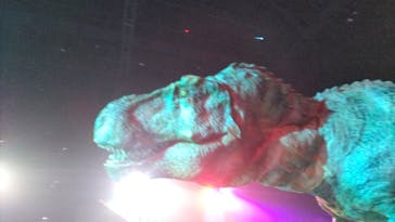 DINO SAFARI GIGANTに投稿された画像（2023/8/11）