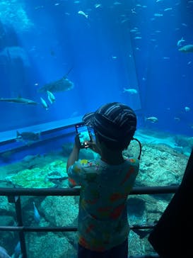 アクアワールド茨城県大洗水族館に投稿された画像（2023/8/11）