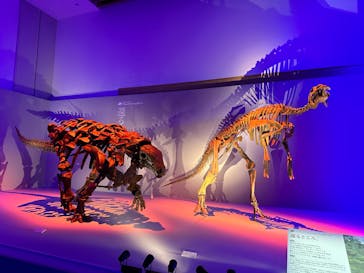 DinoScience 恐竜科学博 2023@TOKYO MIDTOWNに投稿された画像（2023/8/11）