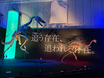 DinoScience 恐竜科学博 2023@TOKYO MIDTOWNに投稿された画像（2023/8/11）