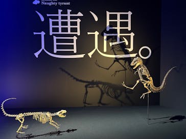 DinoScience 恐竜科学博 2023@TOKYO MIDTOWNに投稿された画像（2023/8/11）
