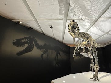 DinoScience 恐竜科学博 2023@TOKYO MIDTOWNに投稿された画像（2023/8/11）