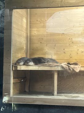 アクアワールド茨城県大洗水族館に投稿された画像（2023/8/11）