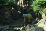 よこはま動物園ズーラシアに投稿された画像（2023/8/12）