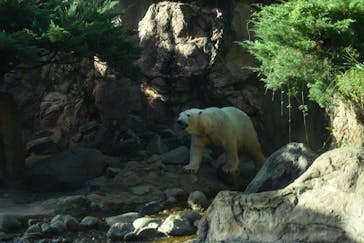 よこはま動物園ズーラシアに投稿された画像（2023/8/11）