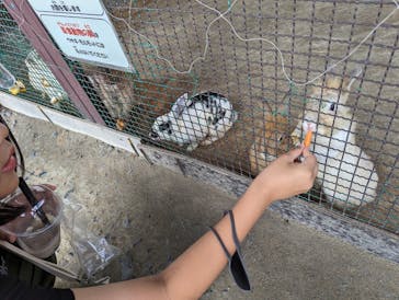 岩手サファリパークに投稿された画像（2023/8/11）