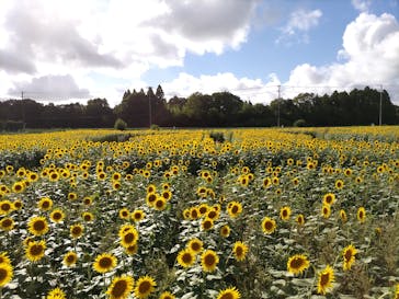 成田ゆめ牧場に投稿された画像（2023/8/11）