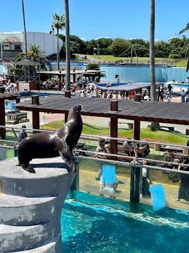 南知多ビーチランド＆南知多おもちゃ王国に投稿された画像（2023/8/11）