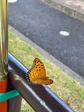 モビリティリゾートもてぎに投稿された画像（2023/8/11）