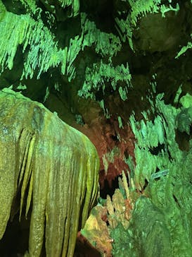 あぶくま洞に投稿された画像（2023/8/11）