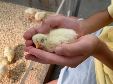 Moff アニマル カフェ イーアス 高尾店に投稿された画像（2023/8/11）