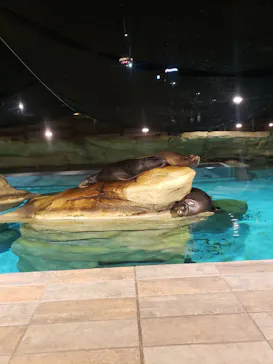 天王寺動物園に投稿された画像（2023/8/11）