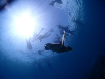 calm石垣島に投稿された画像（2023/8/11）