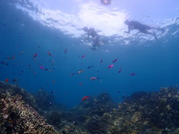 calm石垣島に投稿された画像（2023/8/11）