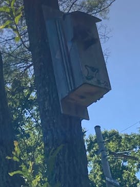 モビリティリゾートもてぎに投稿された画像（2023/8/11）