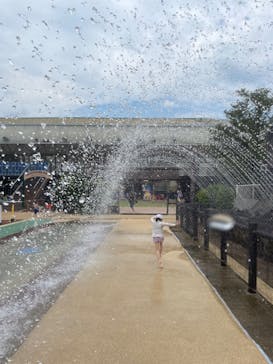 東京サマーランドに投稿された画像（2023/8/11）