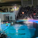 仙台うみの杜水族館に投稿された画像（2023/8/12）