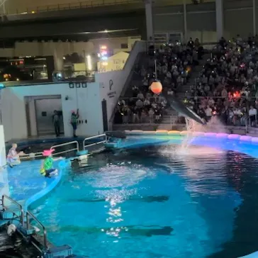 仙台うみの杜水族館に投稿された画像（2023/8/11）
