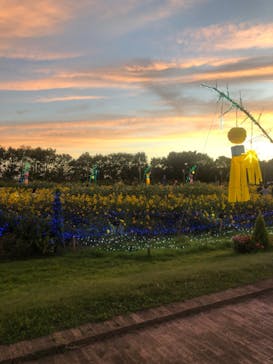 せんだい農業園芸センター　みどりの杜に投稿された画像（2023/8/11）