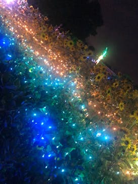 せんだい農業園芸センター　みどりの杜に投稿された画像（2023/8/11）