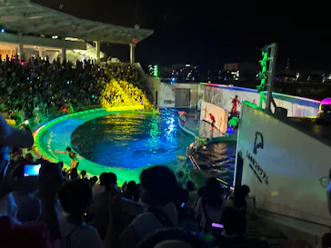 仙台うみの杜水族館に投稿された画像（2023/8/11）