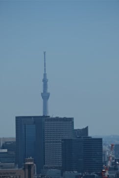 東京タワーに投稿された画像（2023/8/11）