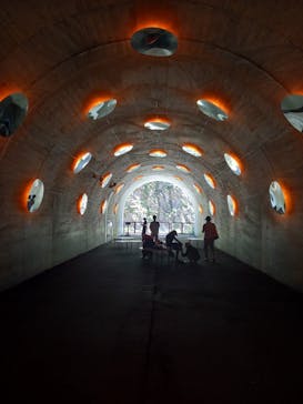 清津峡渓谷トンネルに投稿された画像（2023/8/11）