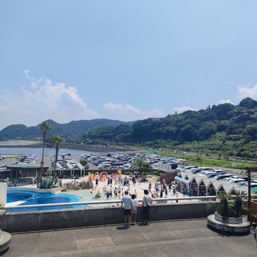 大分マリーンパレス水族館 「うみたまご」に投稿された画像（2023/8/12）