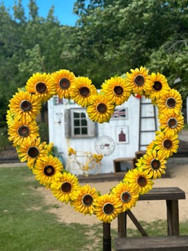 淡路ファームパーク イングランドの丘に投稿された画像（2023/8/12）