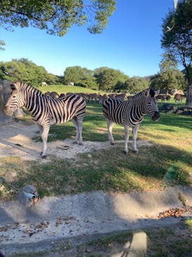 姫路セントラルパークに投稿された画像（2023/8/12）