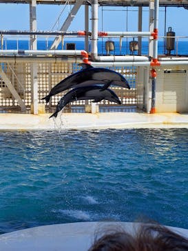 城崎マリンワールドに投稿された画像（2023/8/12）