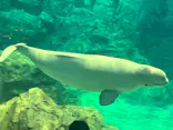名古屋港水族館に投稿された画像（2023/8/12）