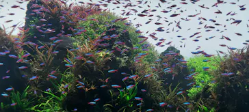 すみだ水族館に投稿された画像（2023/8/12）